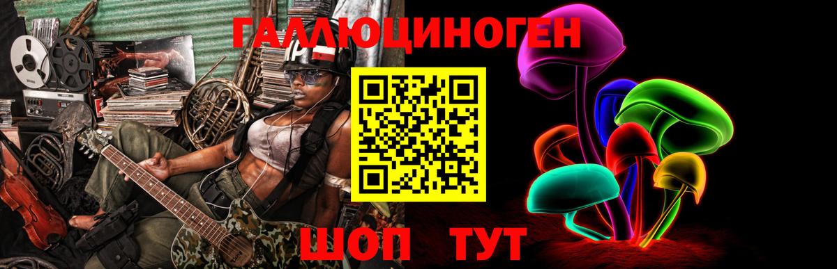 Псилоцибиновые грибы ЛСД  Вход с VPN  Псилоцибиновые грибы Magic Shrooms  Новоалтайск 